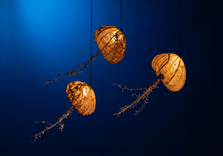 Aurelia Hanging Lamp (Medium)