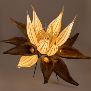 Anise Lamp