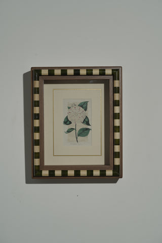 Page 66a - Framed