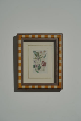 Page 66b - Framed
