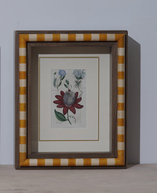 Page 66d - Framed