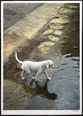 The Ghost who Walks