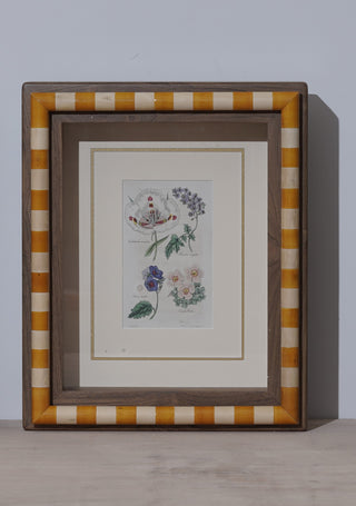 Page 66f - Framed