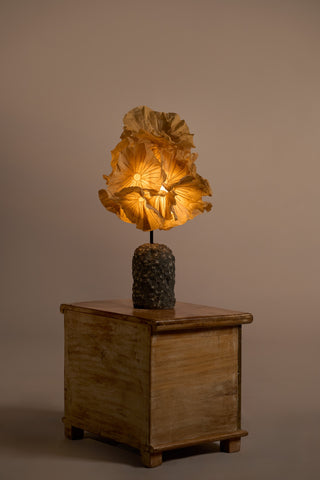 Sea blossom Table Lamp