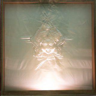 ANTARYAMI DEVI 3