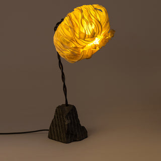 Free Fall Coco Flower Table Lamp